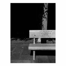 Load image into Gallery viewer, THE BENCH
